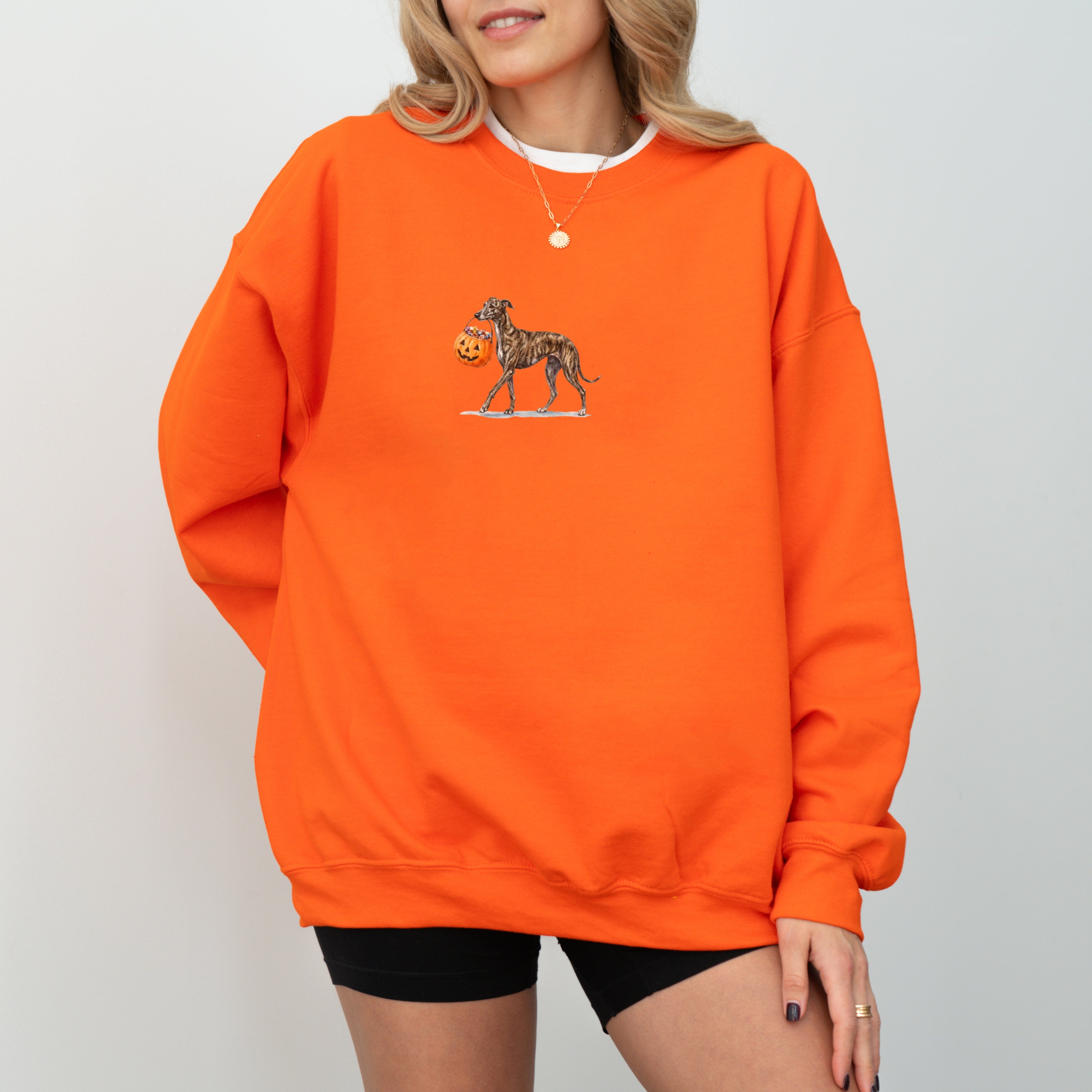 Greyhound Brindle Halloween Sweatshirt