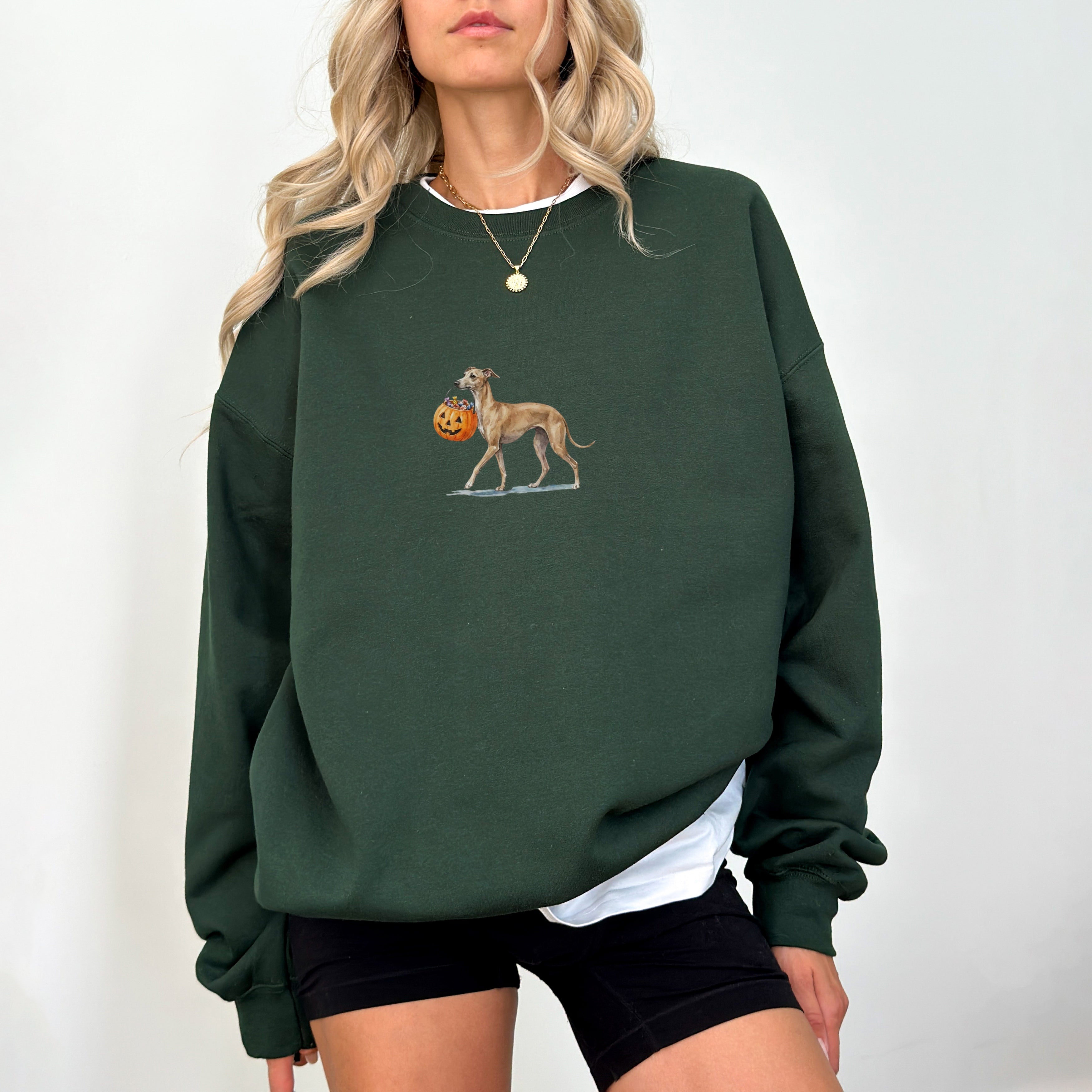 Greyhound Halloween Sweatshirt