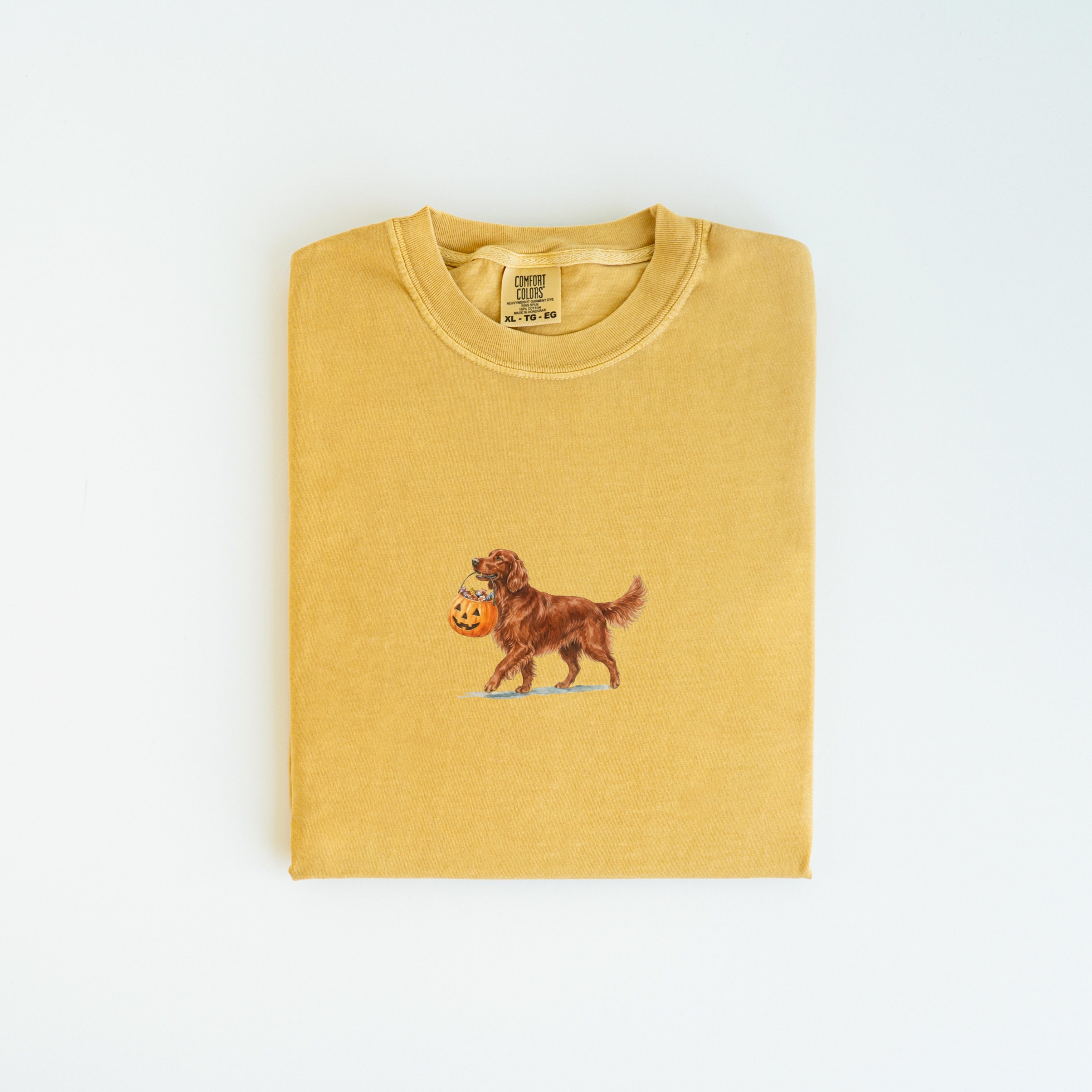 Irish Setter Halloween T-shirt