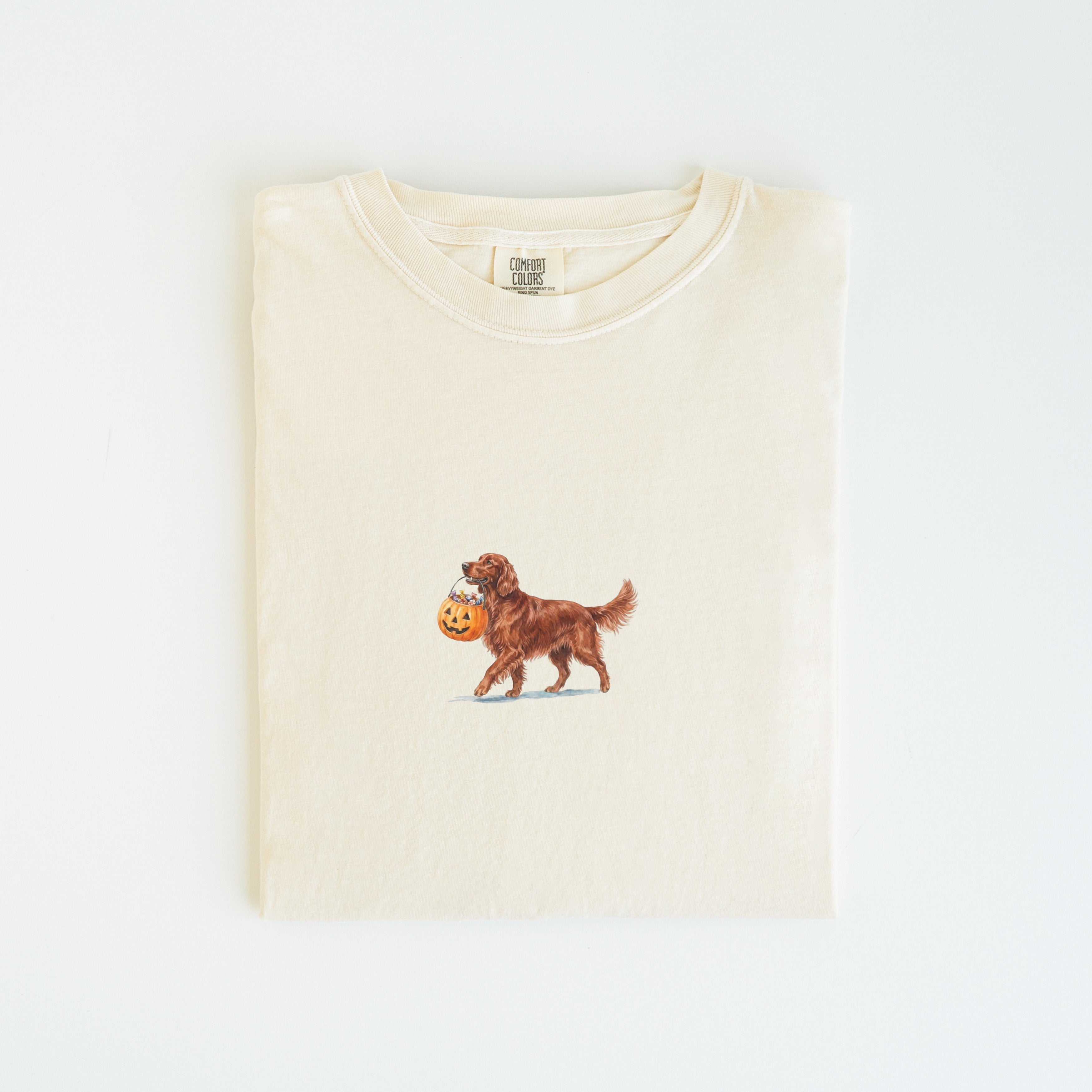 Irish Setter Halloween T-shirt