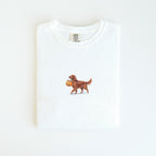 Irish Setter Halloween T-shirt