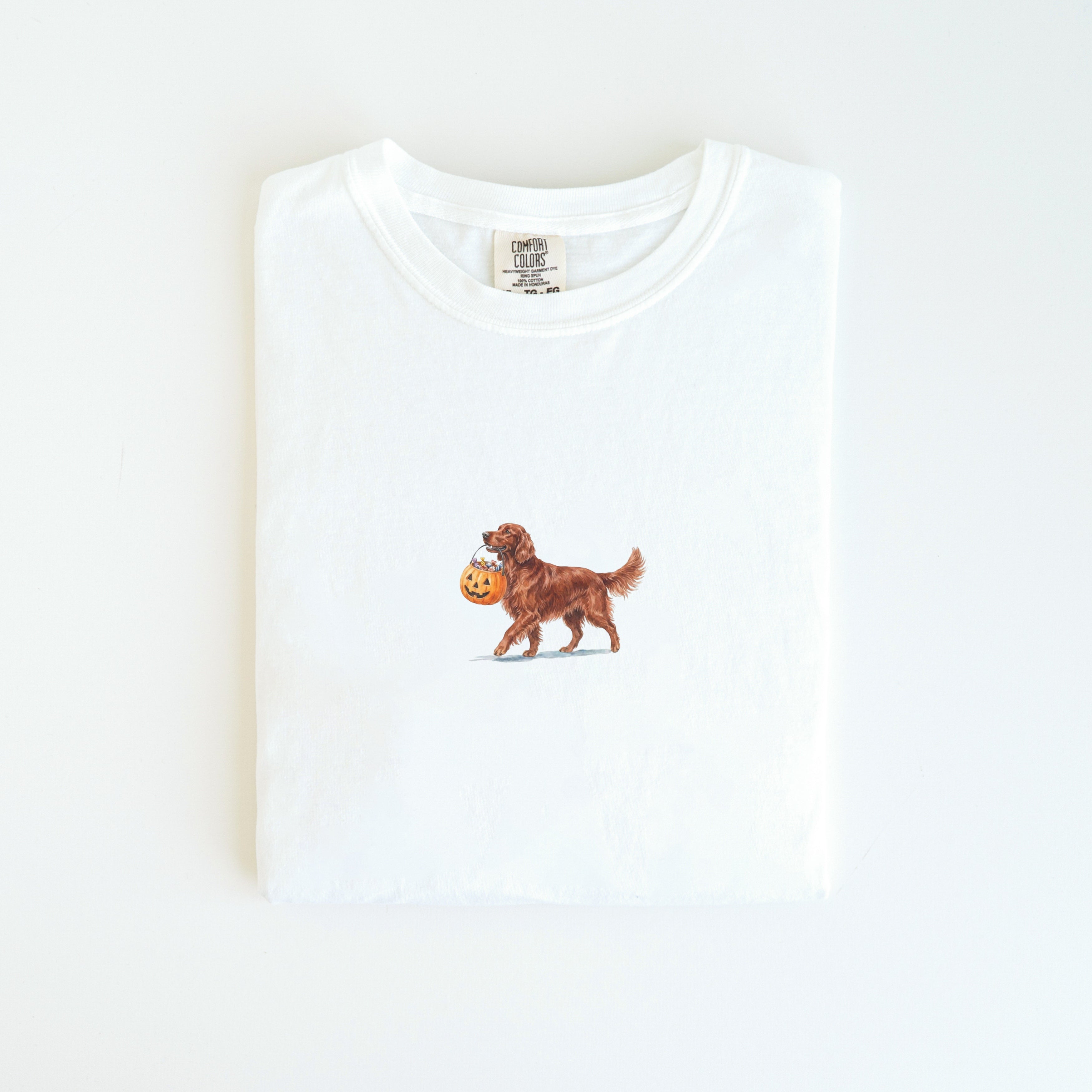 Irish Setter Halloween T-shirt