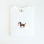 Labrador Chocolate USA T-shirt