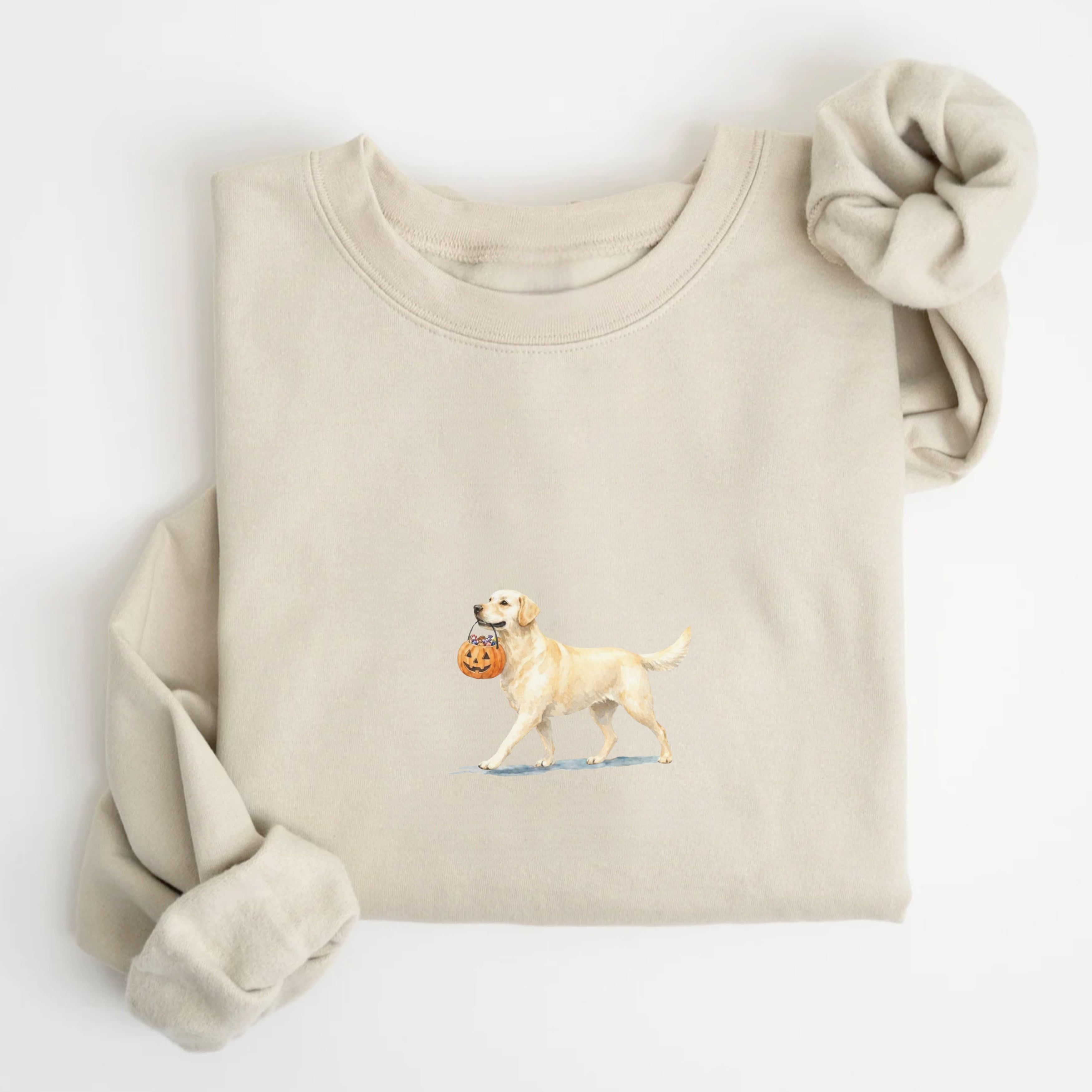Labrador Halloween Sweatshirt