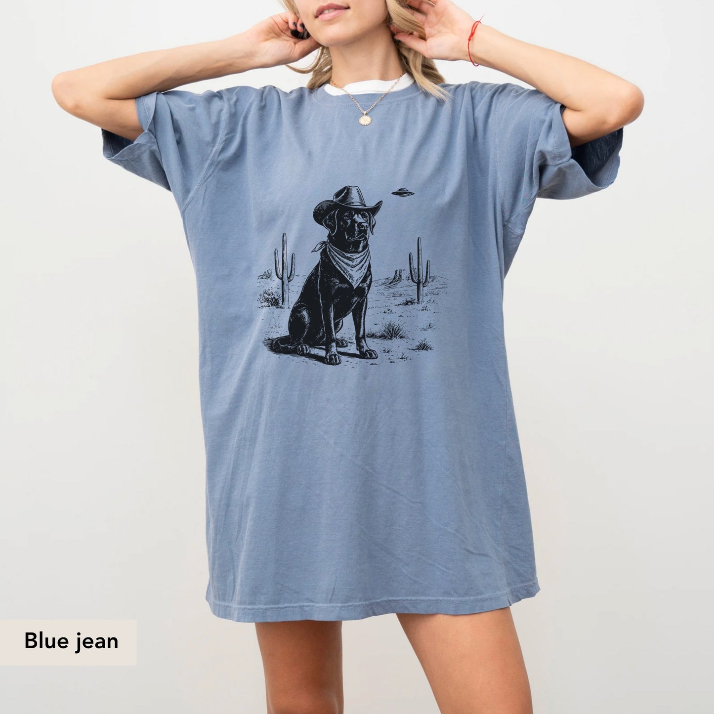 Labrador Retriever UFO shirt