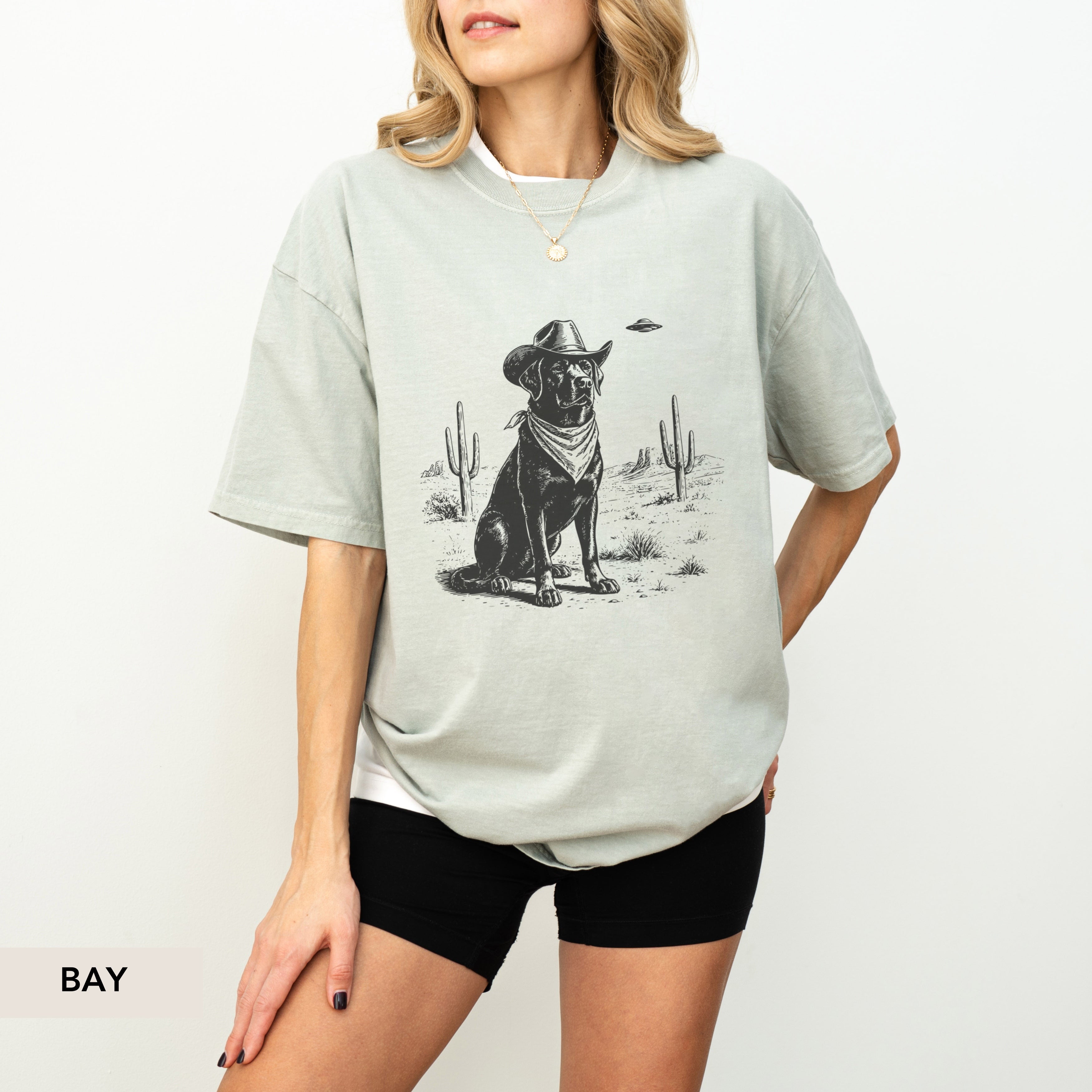 Labrador Retriever UFO shirt
