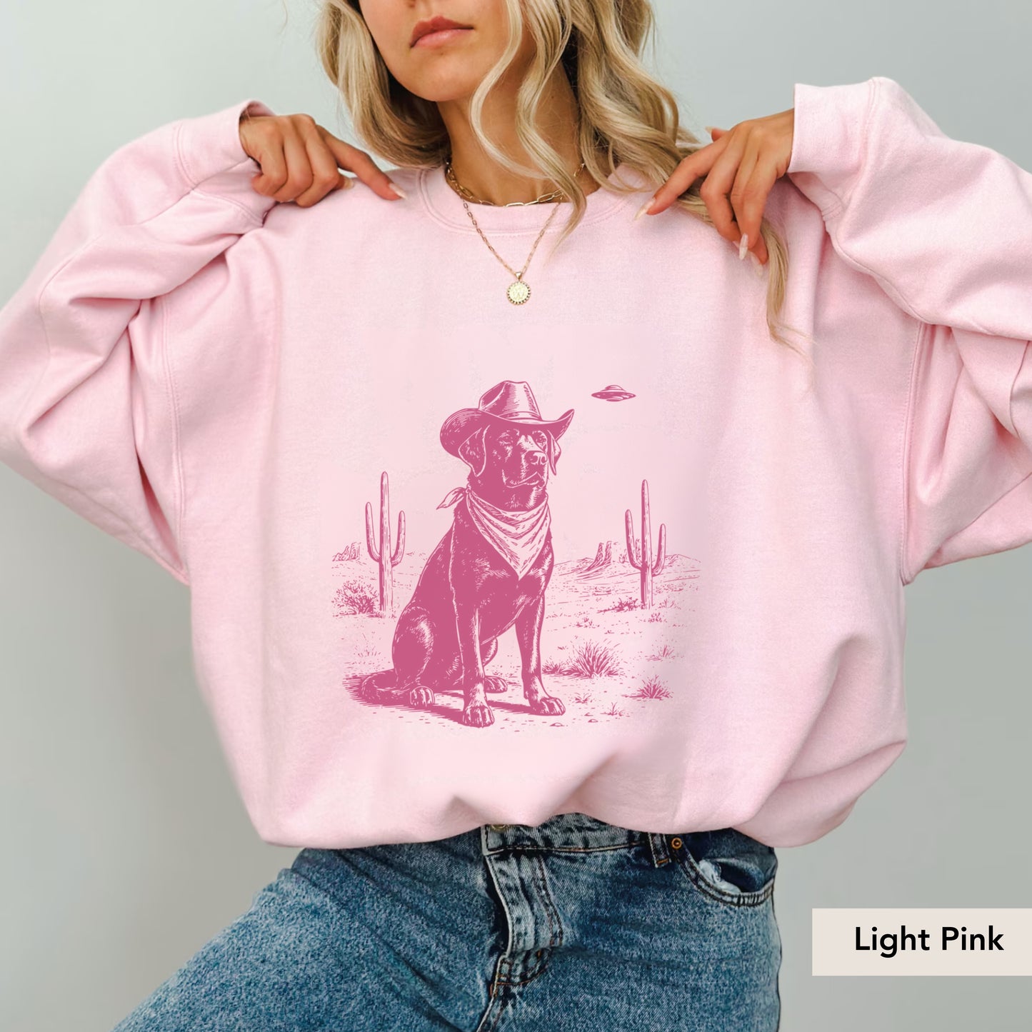 Labrador Retriever UFO Sweatshirt