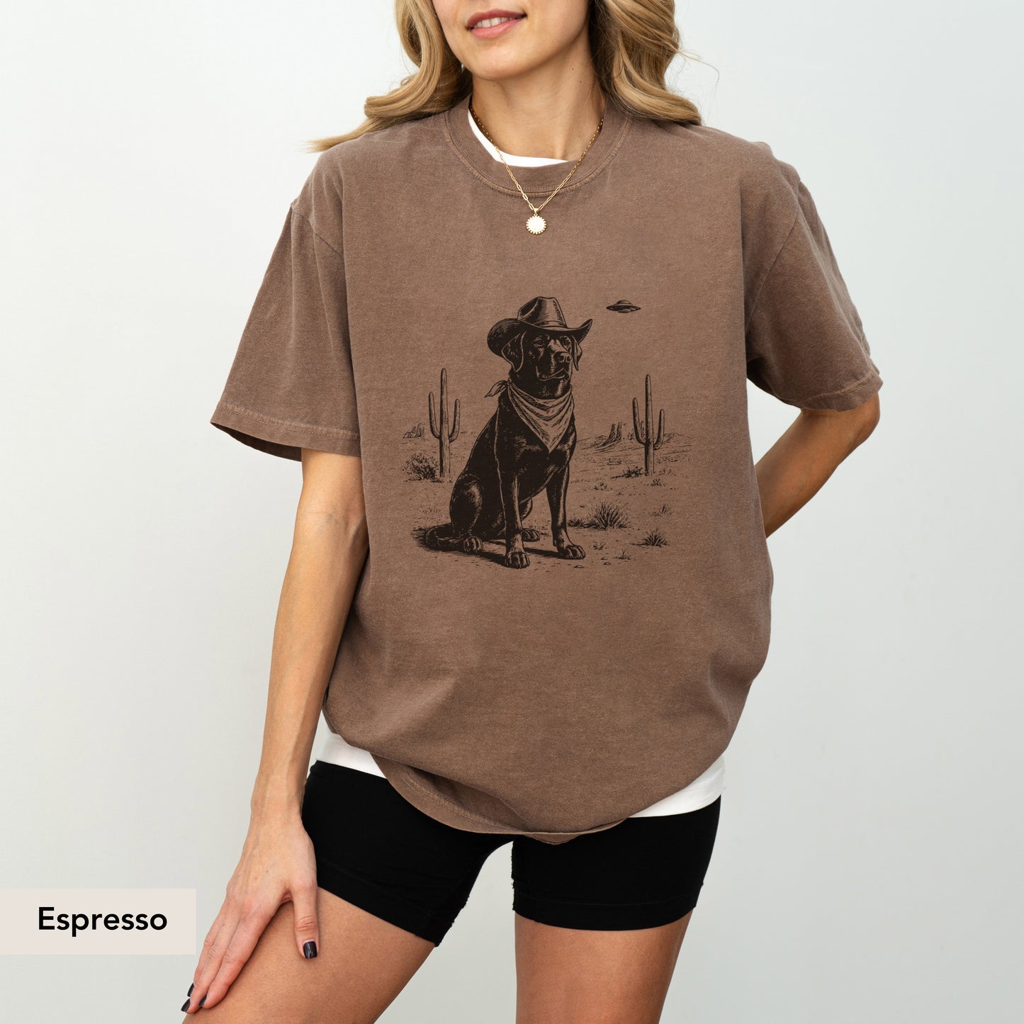 Labrador Retriever UFO shirt