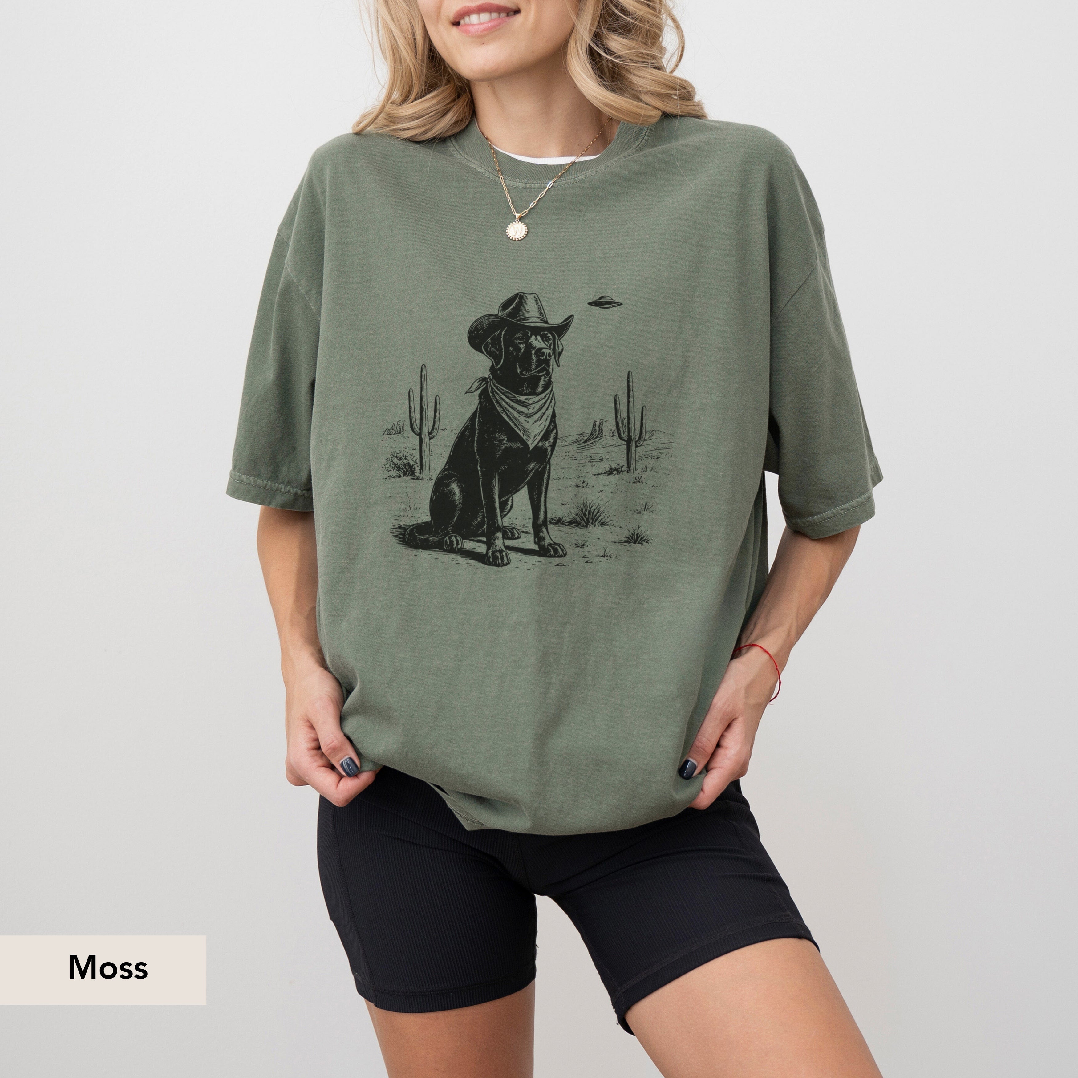 Labrador Retriever UFO shirt