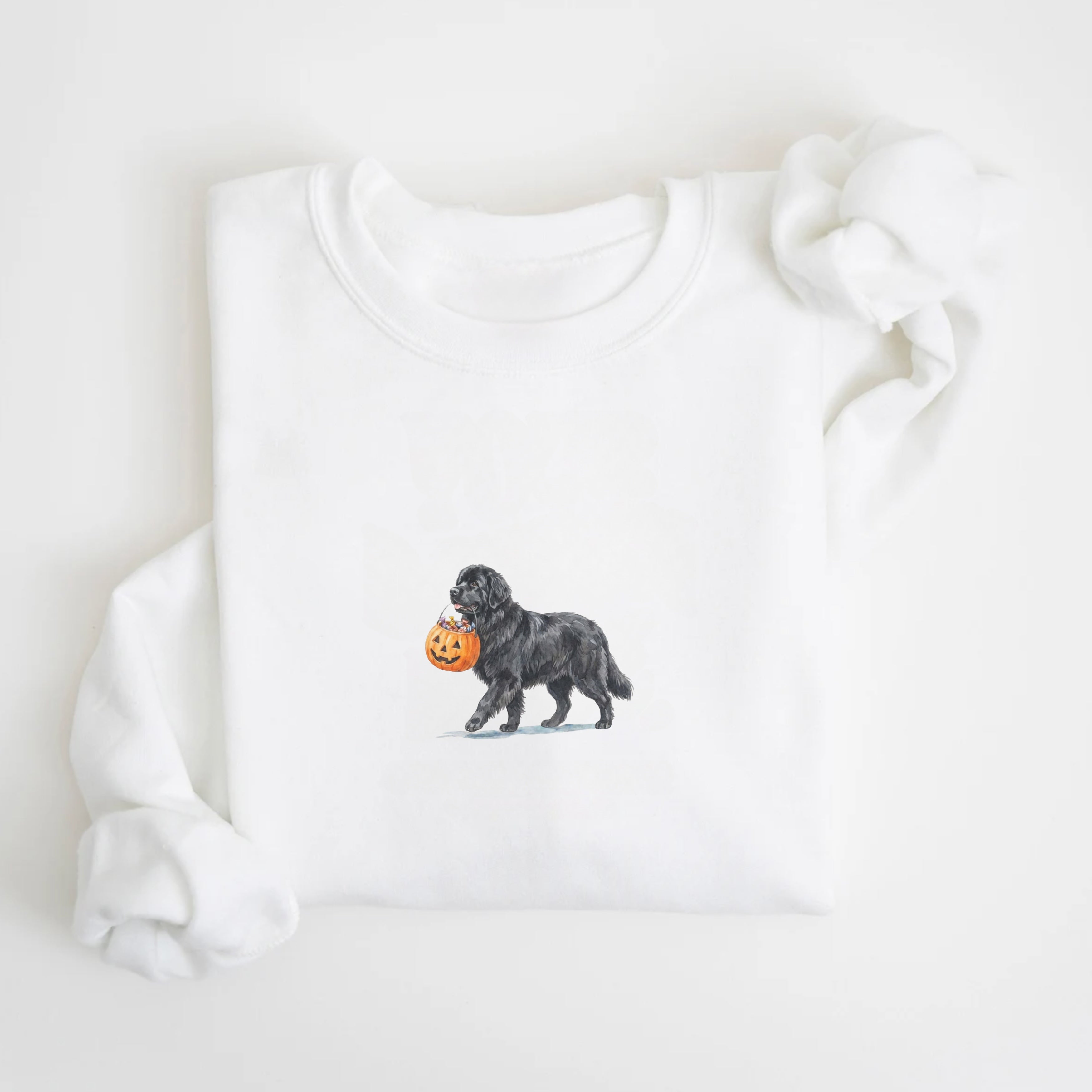 Newfoundland Halloween Sweatshirt