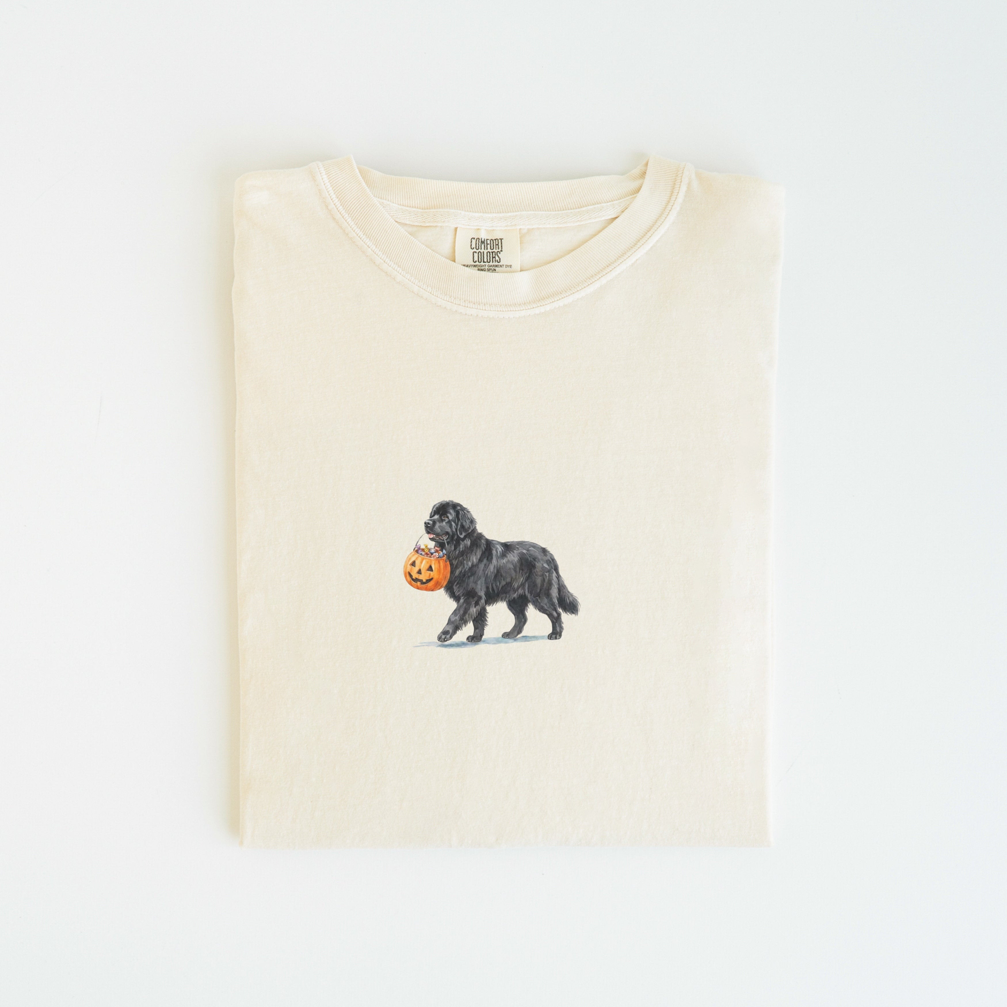 Newfoundland Halloween T-shirt