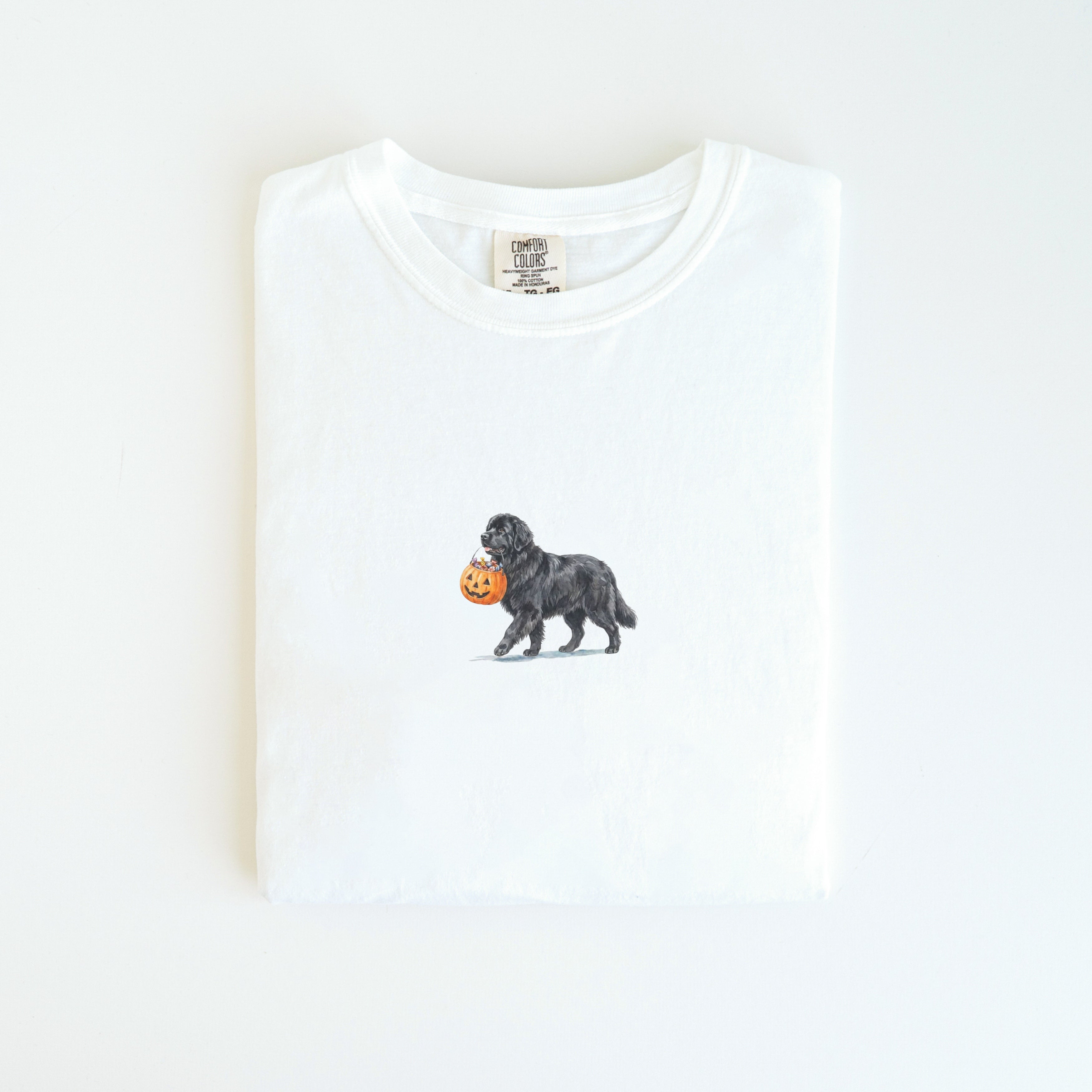 Newfoundland Halloween T-shirt