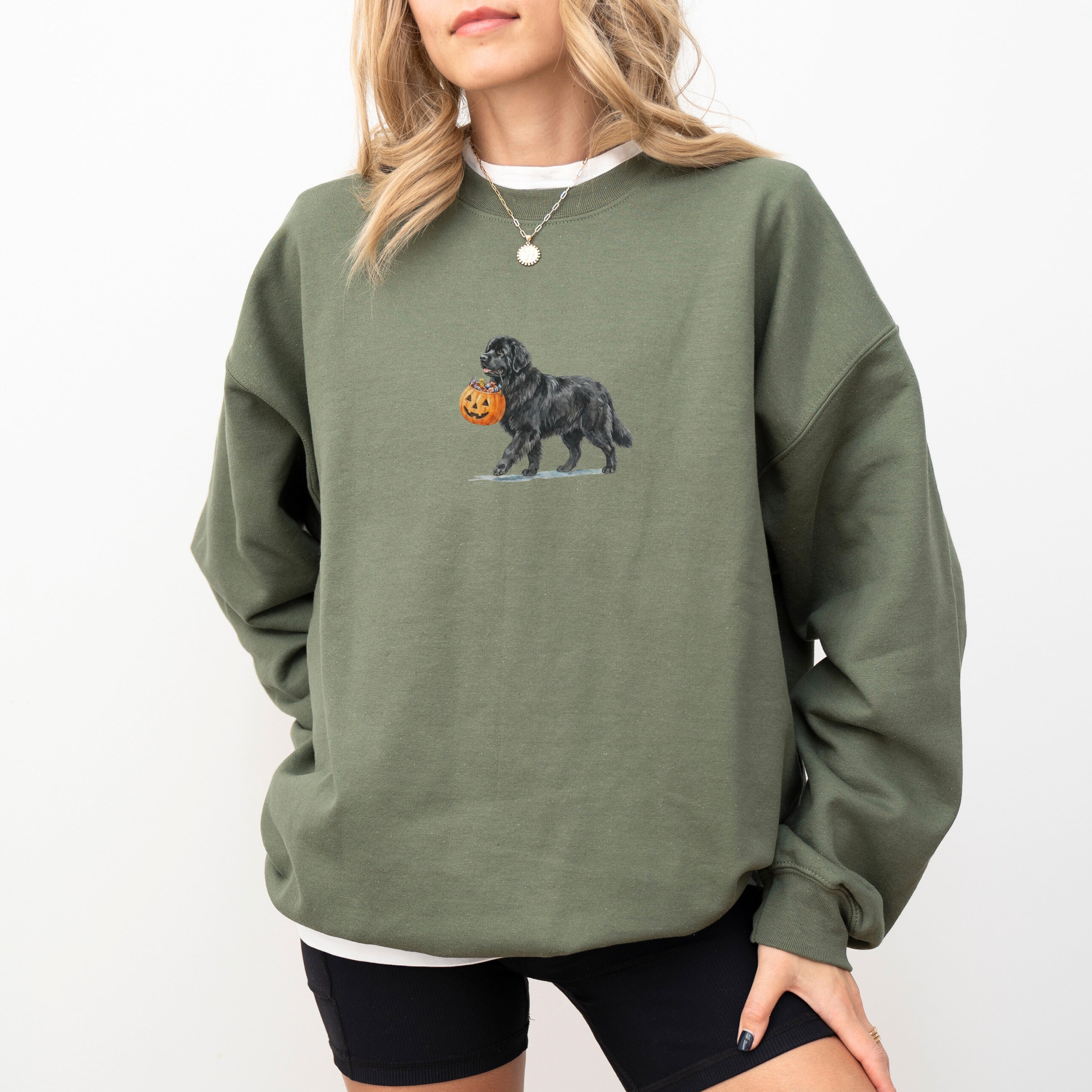 Newfoundland Halloween Sweatshirt