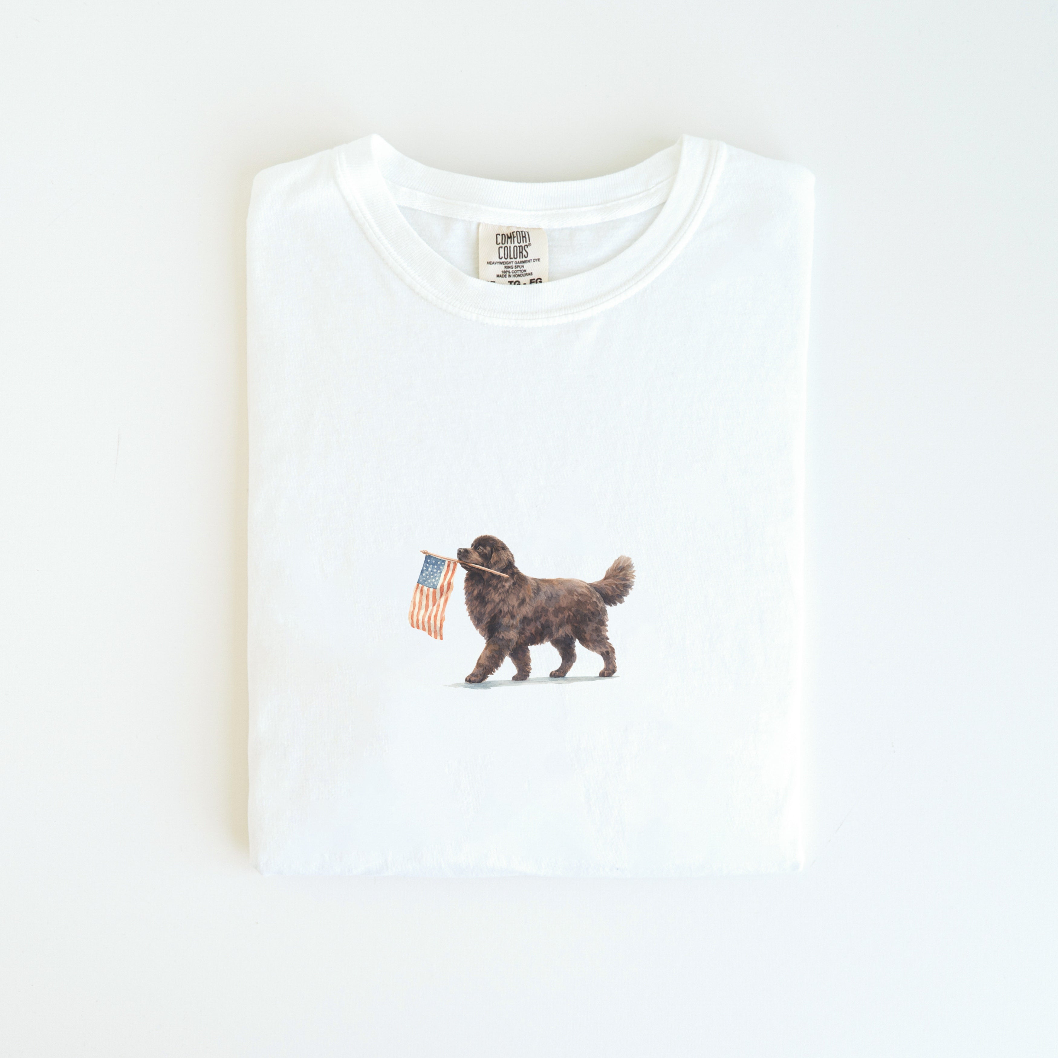 Newfoundland USA T-shirt