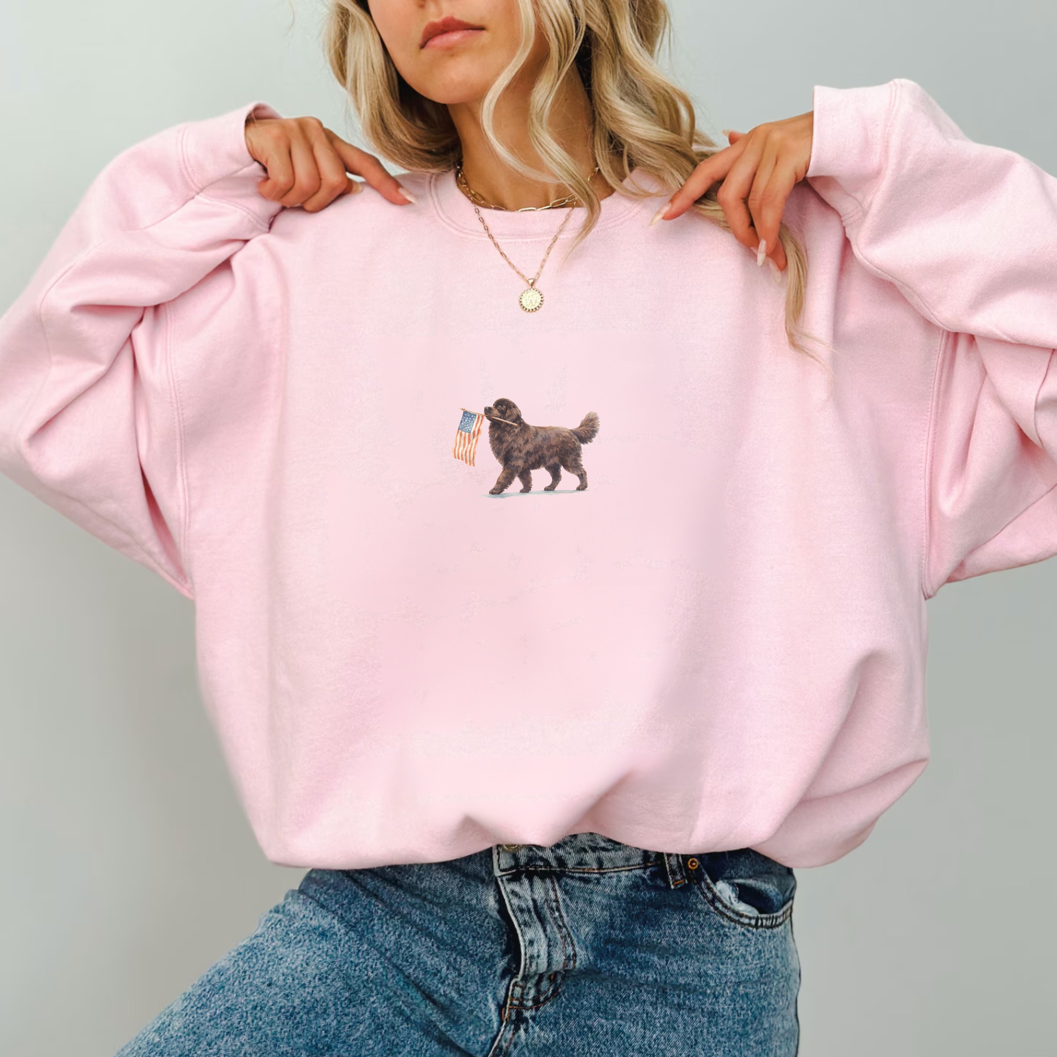 Newfoundland US Flag Sweatshirt