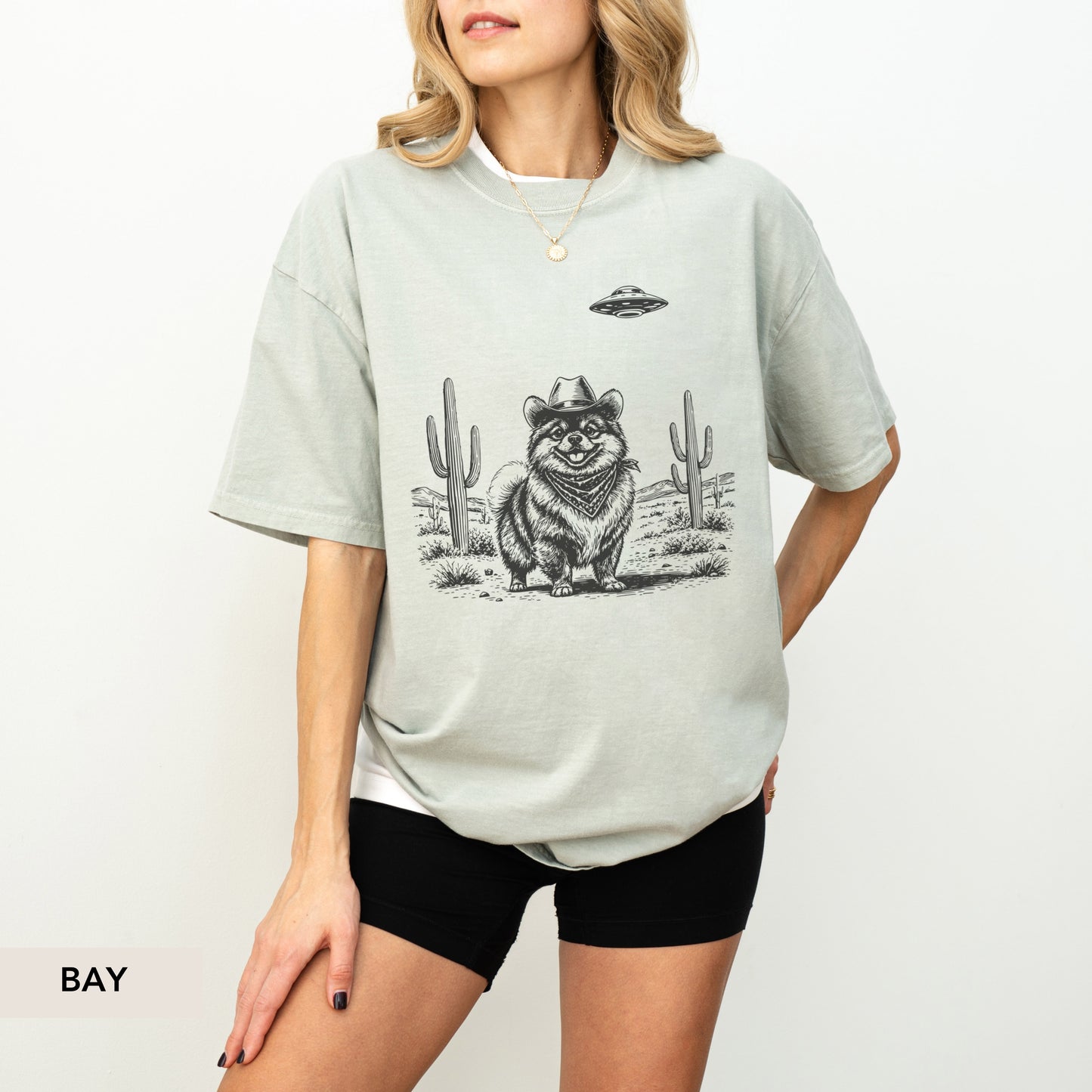 Pomeranian UFO shirt