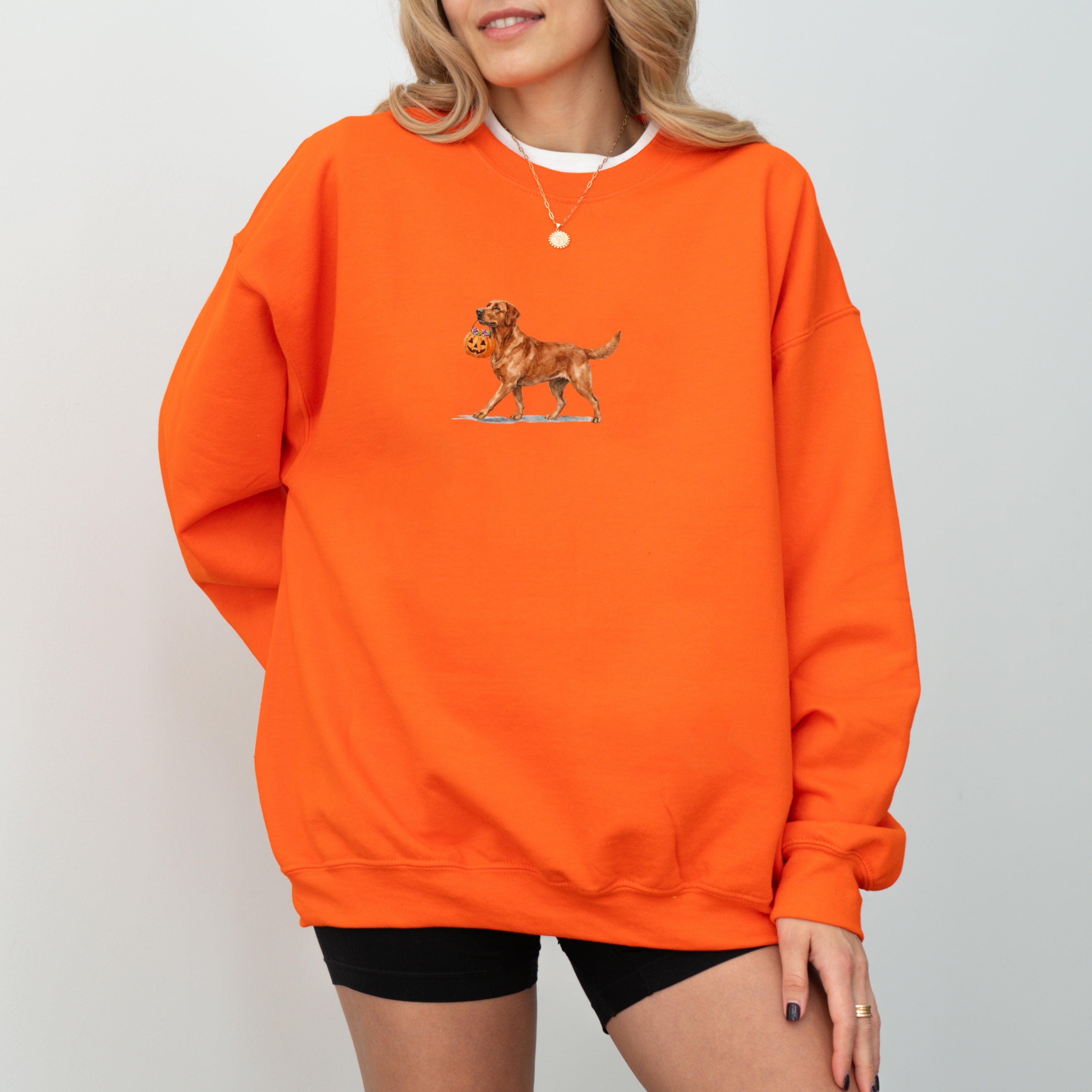 Red Fox Labrador Halloween Sweatshirt