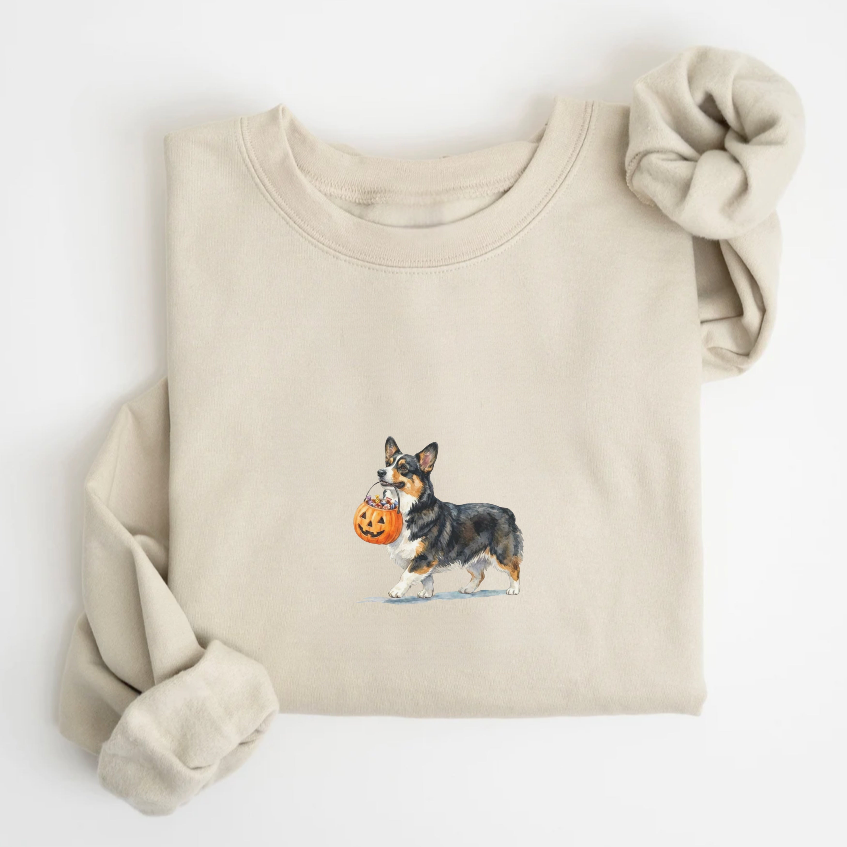 Tri Color Corgi Halloween Sweatshirt