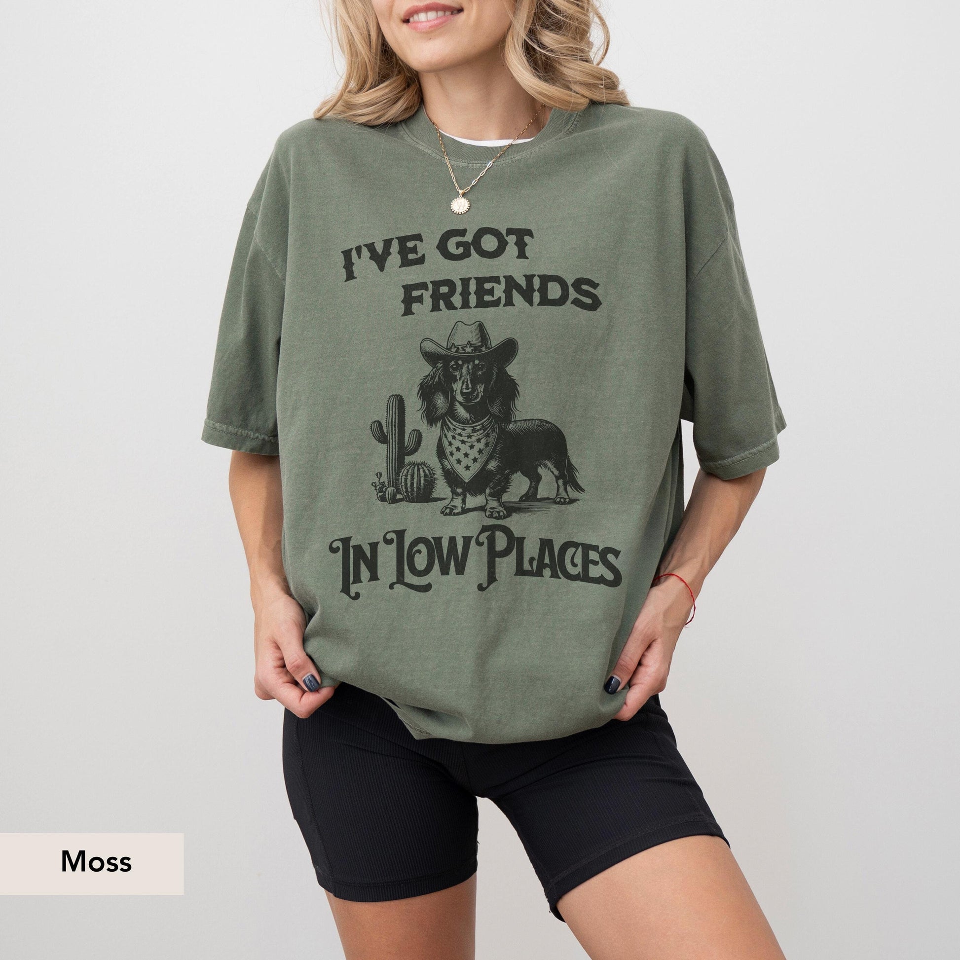 Dachshund Long Haired Shirt, I've Got Friends In Low Places, Doxie, Dachshund Sweatshirt, Dachshund Gift, sausage dog, Dachshund shirt